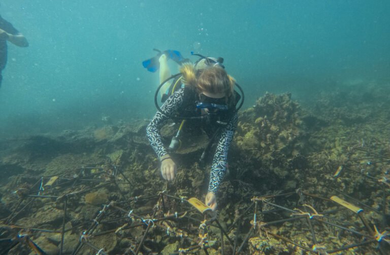 DCIM100GOPROGOPR8204.JPG