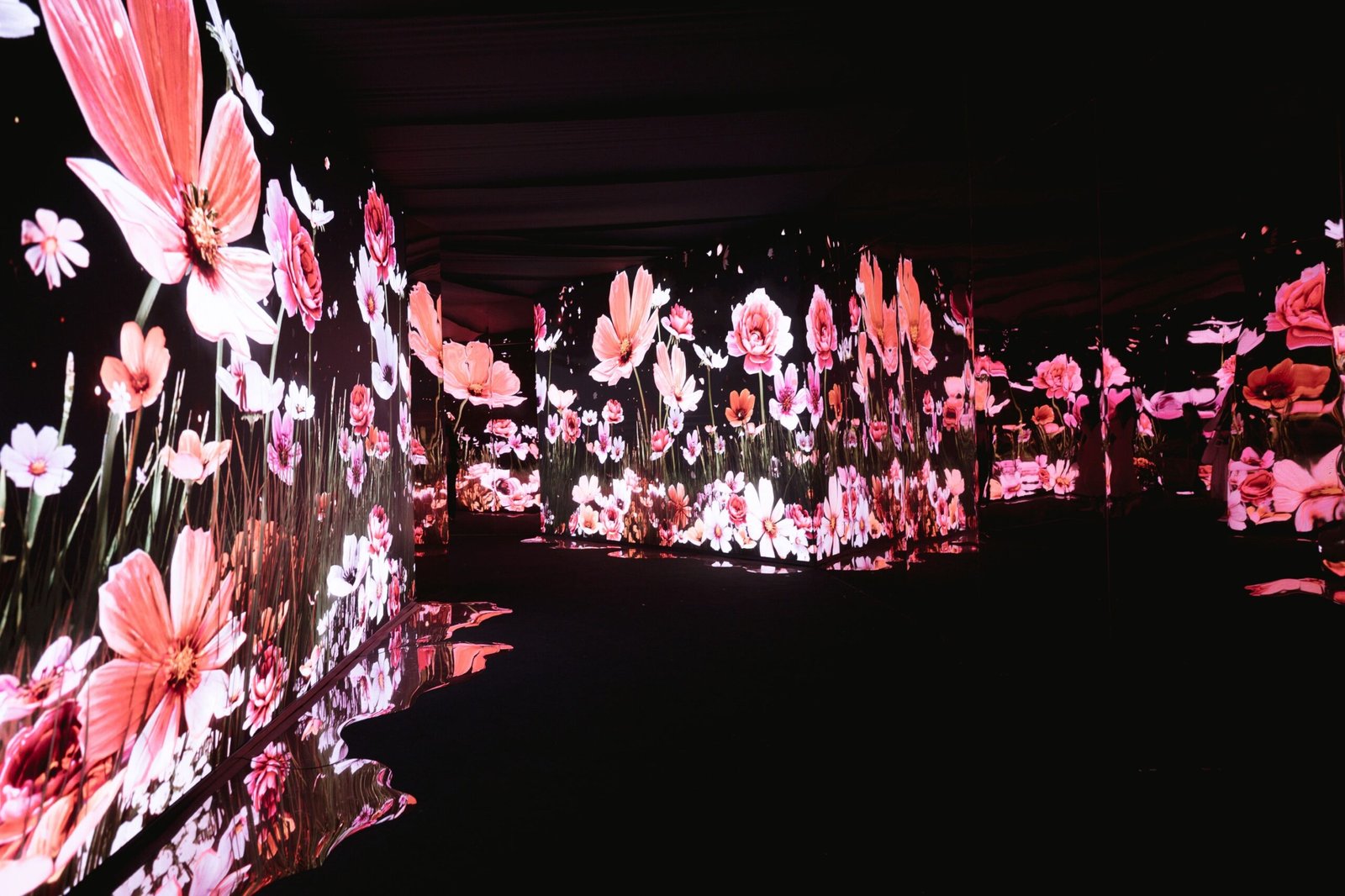 Tunnel of Light