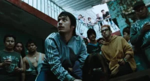 Amores Perros