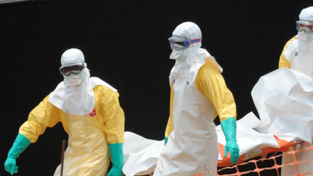 Virus Shamonda Tewaskan Pasien di Prancis, Ini Gejala dan Risiko Penularannya