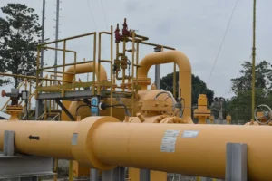 Indonesia Pangkas Ekspor Gas ke Singapura, Ini Dampaknya bagi Ekonomi dan Investasi