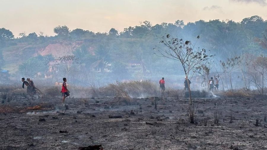 NASA Ungkap Data Karhutla Papua, Emisi Karbon Tembus 35 Juta Ton